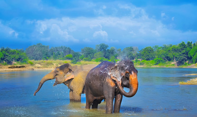 Kathmandu Pokhara Chitwan Tour – An Unforgettable Cultural and Natural Adventure