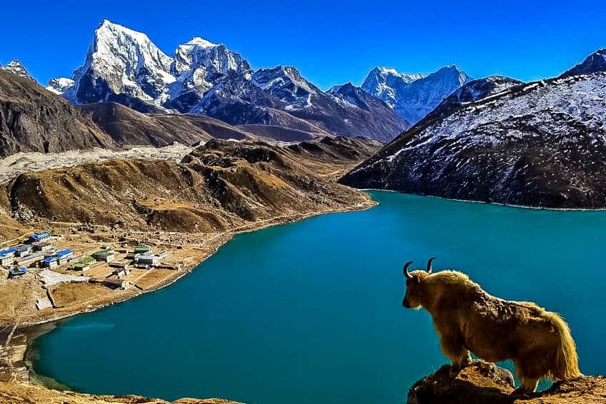Everest Three Passes Adventure Photography Trek – Capture the Himalayas Like Never Before