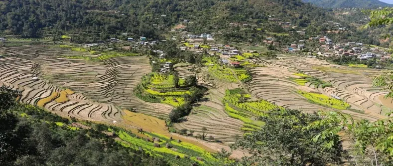🧘‍♀️ Dhulikhel Balthali Yoga Hike – A 4-Day Countryside Yoga Retreat 🇳🇵