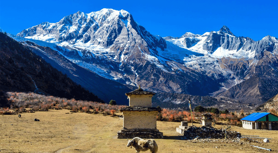 Ganesh Himal, Manaslu & Annapurna Trek: The Ultimte Himalayan Adventure