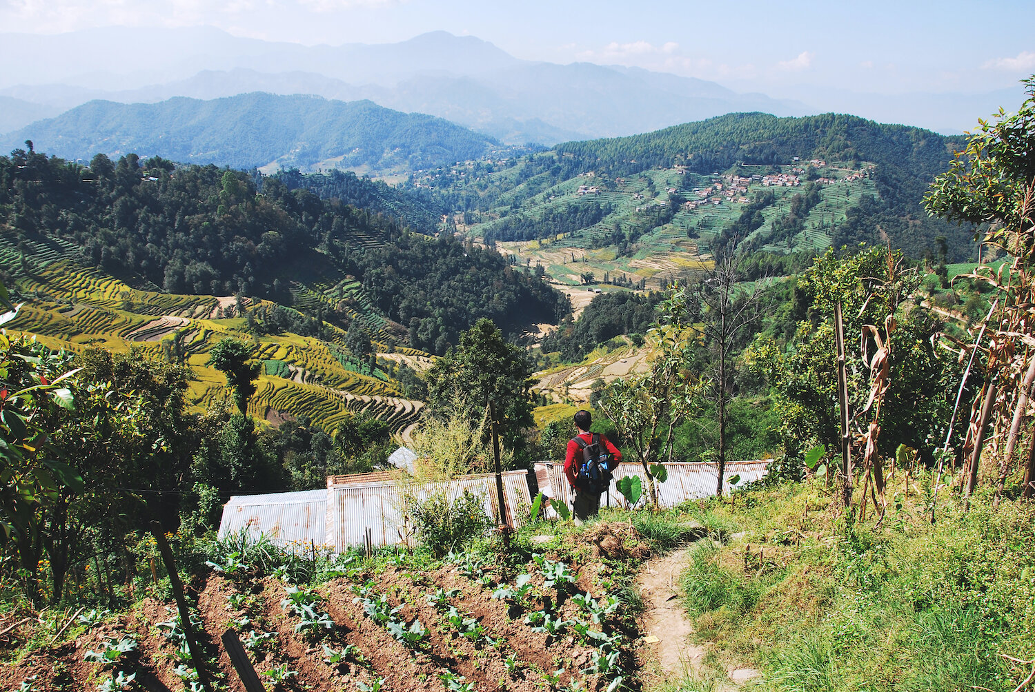 Kathmandu Marijuana Day Hike: A Unique Cultural and Nature Adventure by Janaki Darshan Tours and Travels